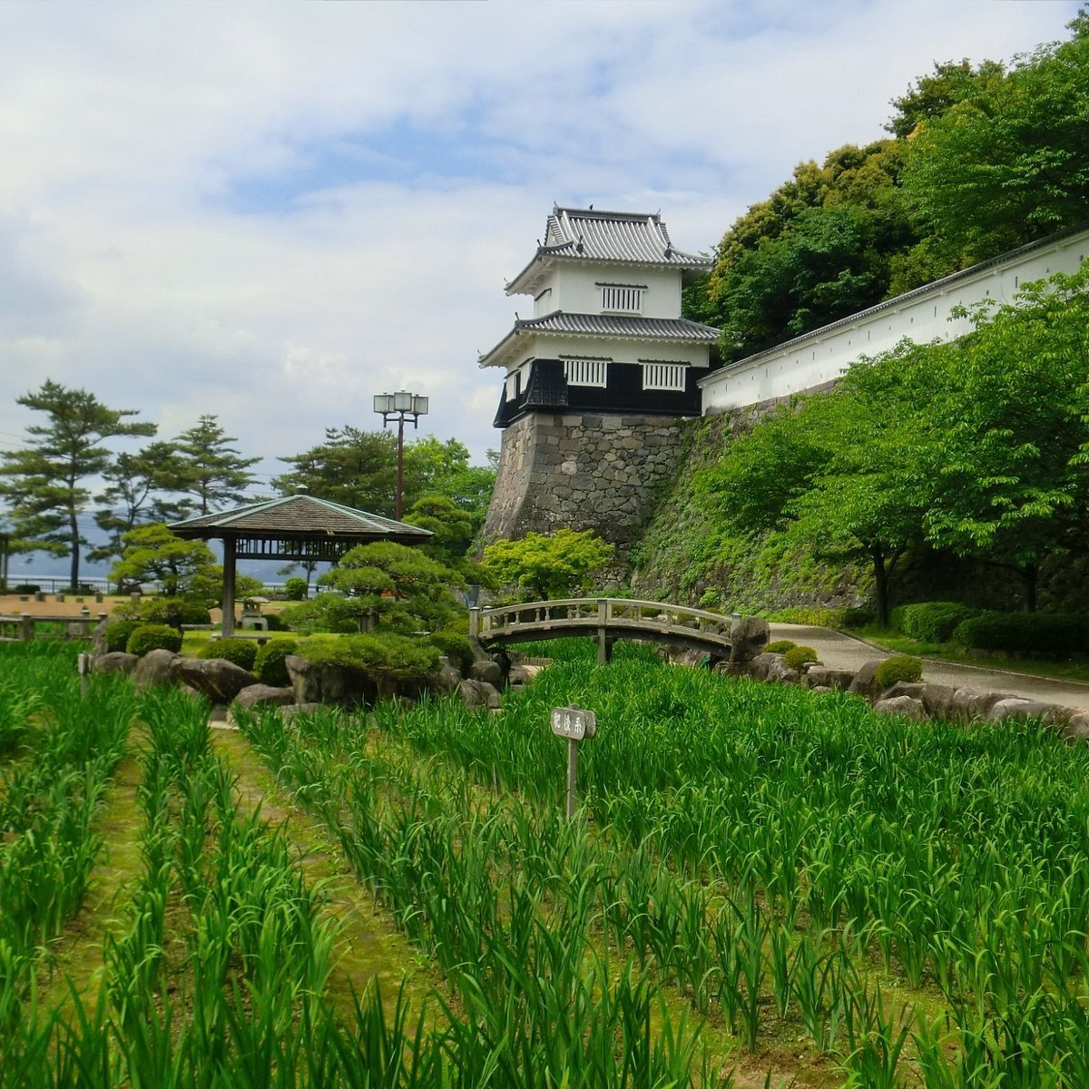 🌸 오무라 공원 이미지 4